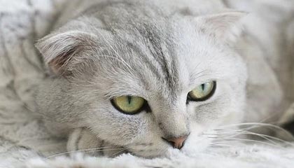 “原来是这样”——看完我沉默了：同事A在医院走廊退货，原因居然是前因后果