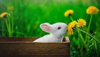 “原来是这样”——看完我沉默了:同事A在医院走廊退货,原因居然是前因后果